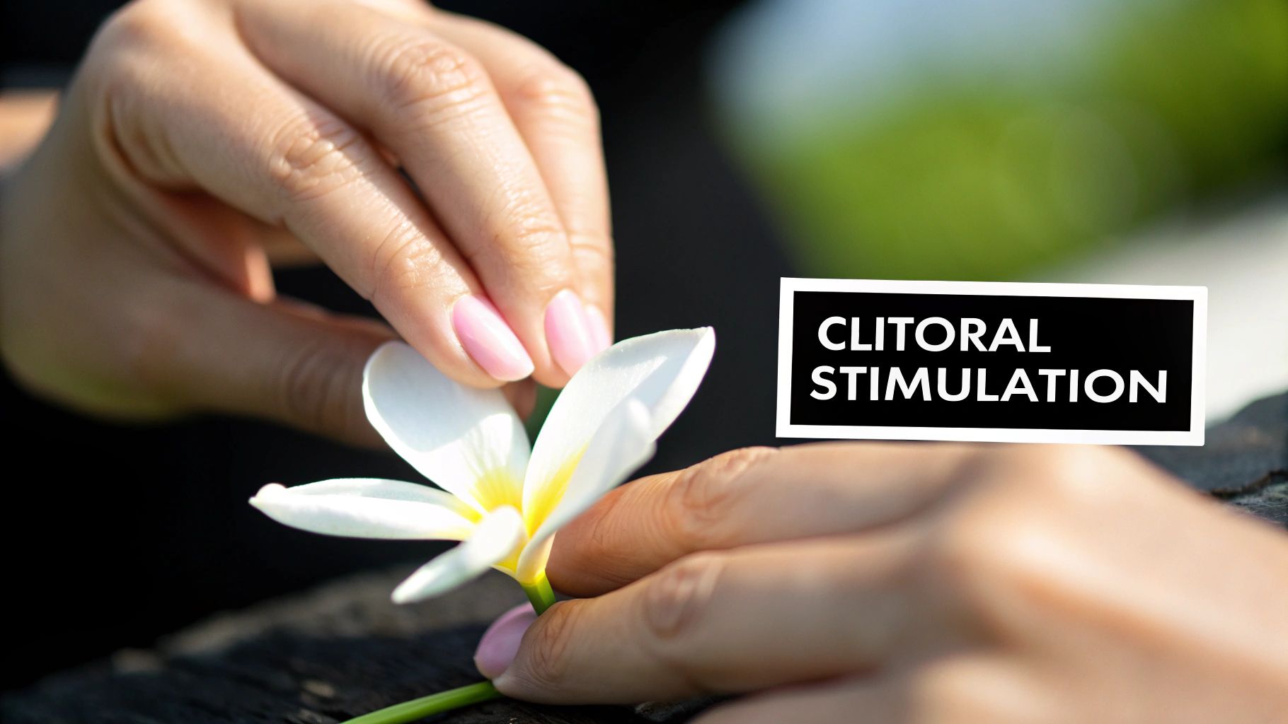 Focus on Clitoral Stimulation