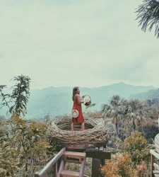 Navigating Divorce When Your Ex Chooses to Soil the Nest